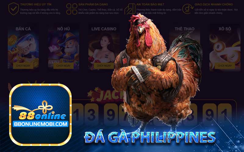 Đá gà philippines